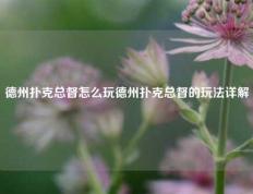 德州扑克总督怎么玩德州扑克总督的玩法详解