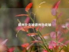德州扑克输德州扑克输