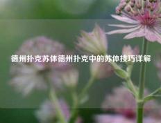 德州扑克苏体德州扑克中的苏体技巧详解