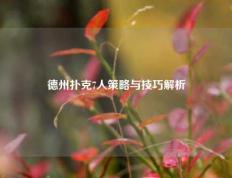 德州扑克7人策略与技巧解析