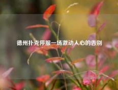 德州扑克停服一场激动人心的告别