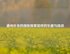 德州扑克的规矩探索游戏的乐趣与挑战