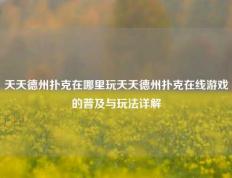 天天德州扑克在哪里玩天天德州扑克在线游戏的普及与玩法详解