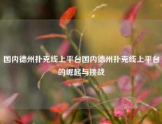 国内德州扑克线上平台国内德州扑克线上平台的崛起与挑战
