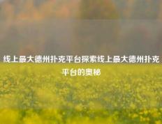 线上最大德州扑克平台探索线上最大德州扑克平台的奥秘