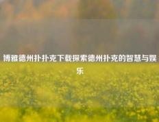 博雅德州扑扑克下载探索德州扑克的智慧与娱乐