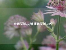 谁有买球app谁拥有买球APP？