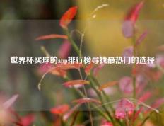 世界杯买球的app排行榜寻找最热门的选择