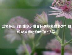 世界杯买球能赚多少世界杯买球能赚多少？揭秘足球博彩背后的经济学