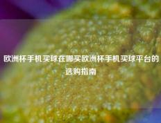 欧洲杯手机买球在哪买欧洲杯手机买球平台的选购指南