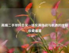 高端二手球料合买一场充满挑战与机遇的球鞋收藏盛宴