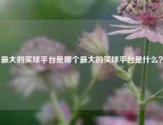 最大的买球平台是哪个最大的买球平台是什么？