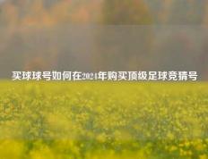 买球球号如何在2024年购买顶级足球竞猜号