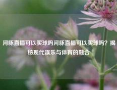河豚直播可以买球吗河豚直播可以买球吗？揭秘现代娱乐与体育的融合