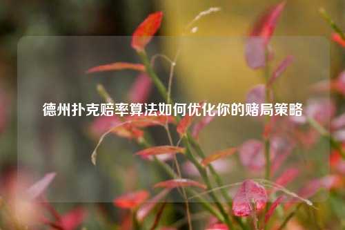 德州扑克赔率算法如何优化你的赌局策略