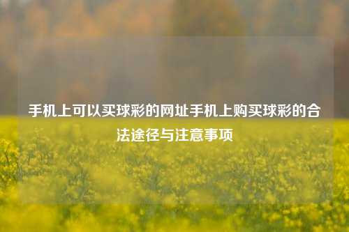 手机上可以买球彩的网址手机上购买球彩的合法途径与注意事项