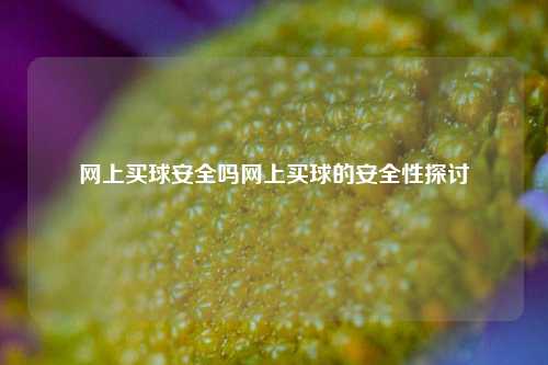 网上买球安全吗网上买球的安全性探讨