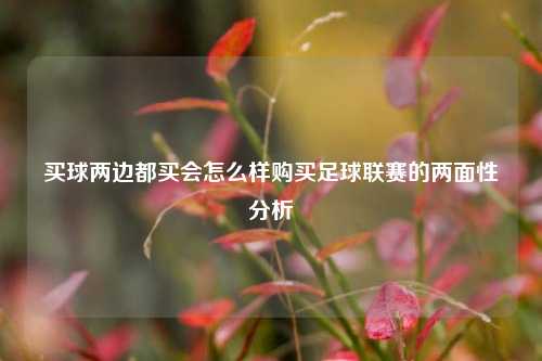 买球两边都买会怎么样购买足球联赛的两面性分析