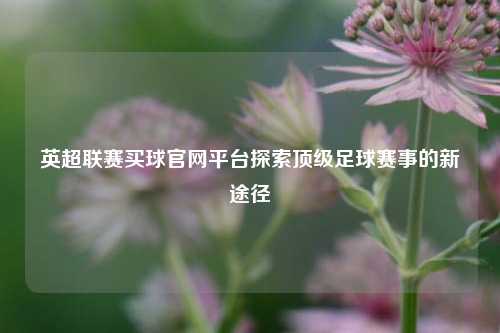英超联赛买球官网平台探索顶级足球赛事的新途径