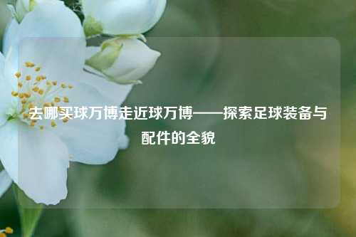 去哪买球万博走近球万博——探索足球装备与配件的全貌