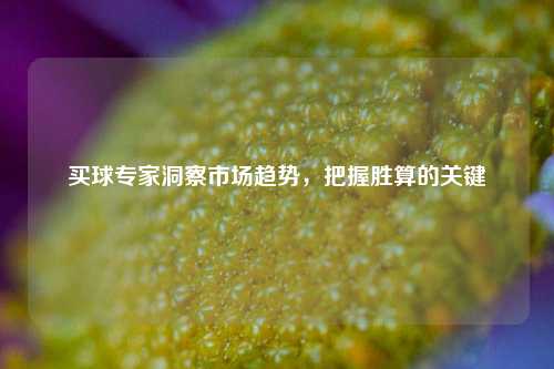 买球专家洞察市场趋势，把握胜算的关键