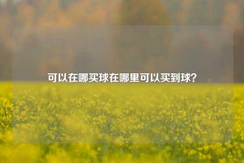 可以在哪买球在哪里可以买到球？