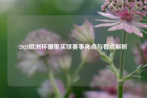 2021欧洲杯哪里买球赛事亮点与看点解析