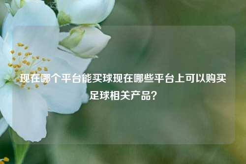 现在哪个平台能买球现在哪些平台上可以购买足球相关产品？