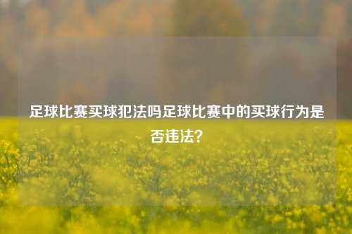 足球比赛买球犯法吗足球比赛中的买球行为是否违法？