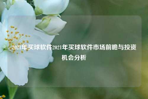 2021年买球软件2021年买球软件市场前瞻与投资机会分析
