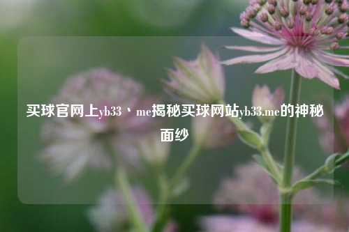 买球官网上yb33丶me揭秘买球网站yb33.me的神秘面纱
