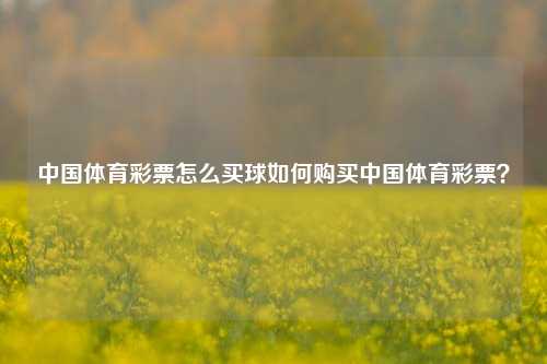 中国体育彩票怎么买球如何购买中国体育彩票？
