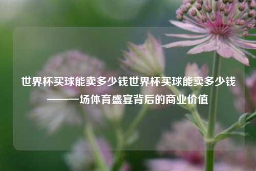 世界杯买球能卖多少钱世界杯买球能卖多少钱——一场体育盛宴背后的商业价值