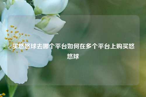 买悠悠球去哪个平台如何在多个平台上购买悠悠球