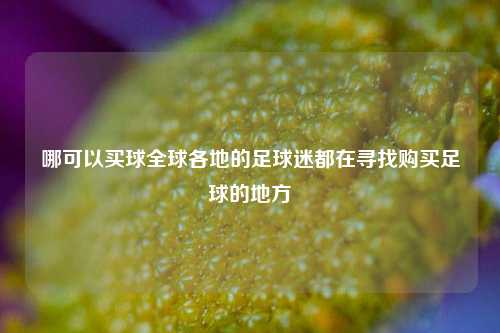 哪可以买球全球各地的足球迷都在寻找购买足球的地方