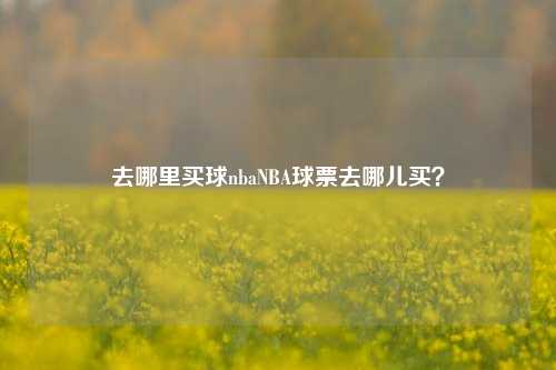 去哪里买球nbaNBA球票去哪儿买？