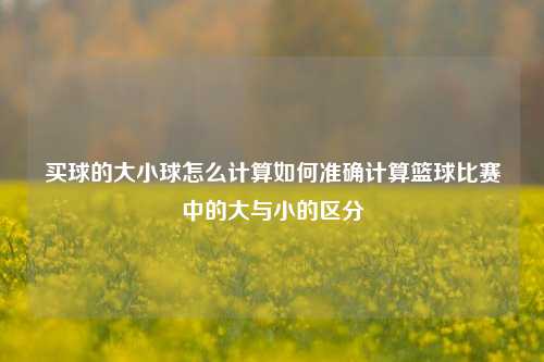 买球的大小球怎么计算如何准确计算篮球比赛中的大与小的区分