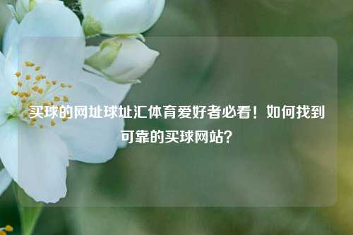 买球的网址球址汇体育爱好者必看！如何找到可靠的买球网站？