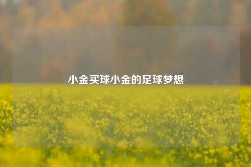 小金买球小金的足球梦想