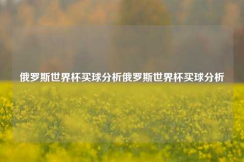 俄罗斯世界杯买球分析俄罗斯世界杯买球分析