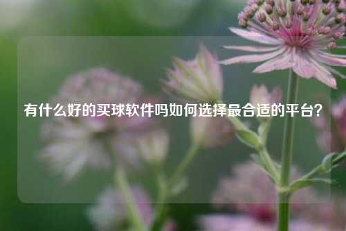 有什么好的买球软件吗如何选择最合适的平台？