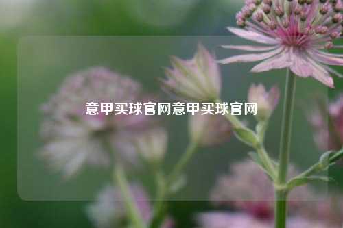 意甲买球官网意甲买球官网