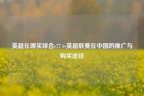 英超在哪买球合c77 tv英超联赛在中国的推广与购买途径