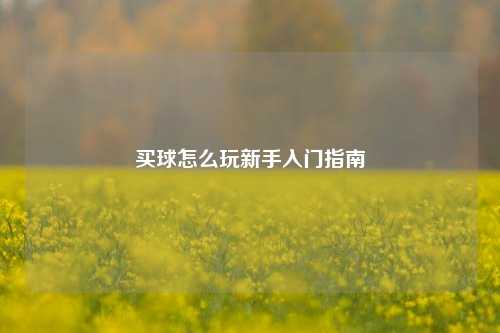 买球怎么玩新手入门指南