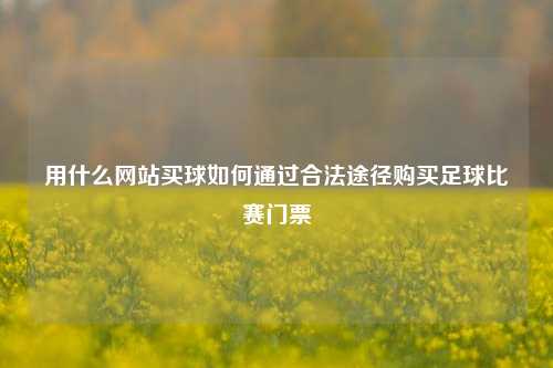 用什么网站买球如何通过合法途径购买足球比赛门票