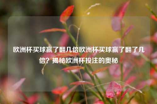 欧洲杯买球赢了翻几倍欧洲杯买球赢了翻了几倍？揭秘欧洲杯投注的奥秘