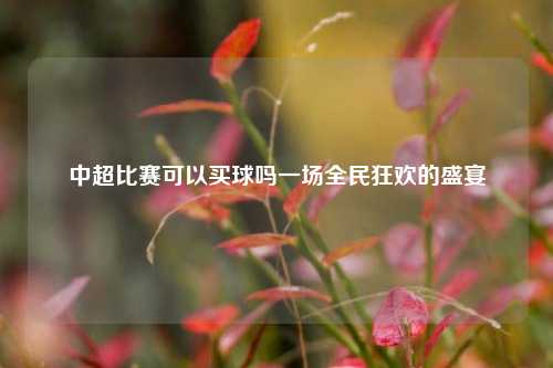 中超比赛可以买球吗一场全民狂欢的盛宴
