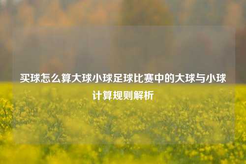 买球怎么算大球小球足球比赛中的大球与小球计算规则解析