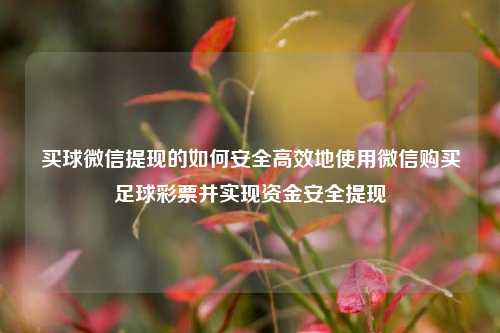 买球微信提现的如何安全高效地使用微信购买足球彩票并实现资金安全提现