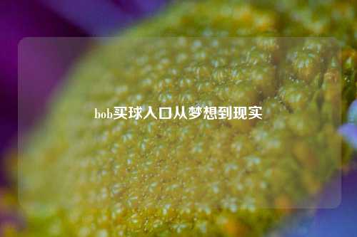 bob买球入口从梦想到现实